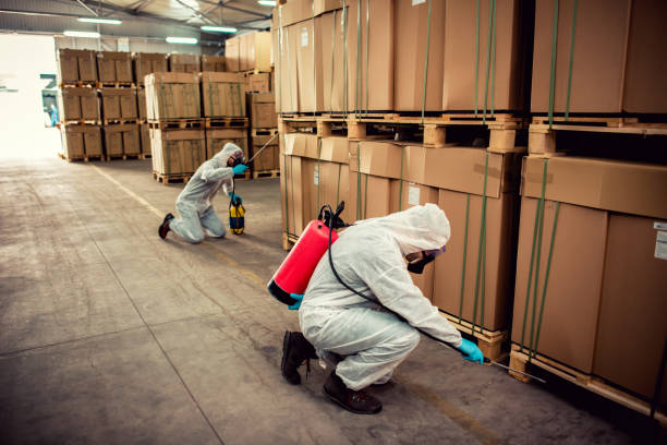 Best Pest Removal Services  in Fort Calhoun, NE