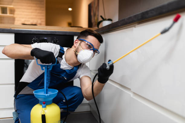 Best Cockroach Control Services  in Fort Calhoun, NE