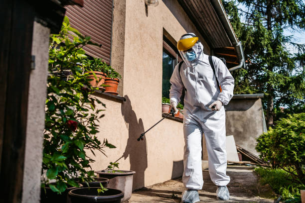 Best Affordable Pest Control Services  in Fort Calhoun, NE